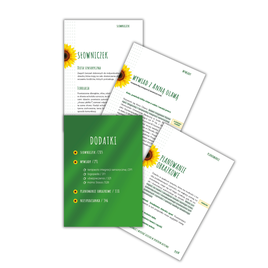 e-book: Jak zrozumieć i wspierać dziecko w spektrum autyzmu - obrazek 4